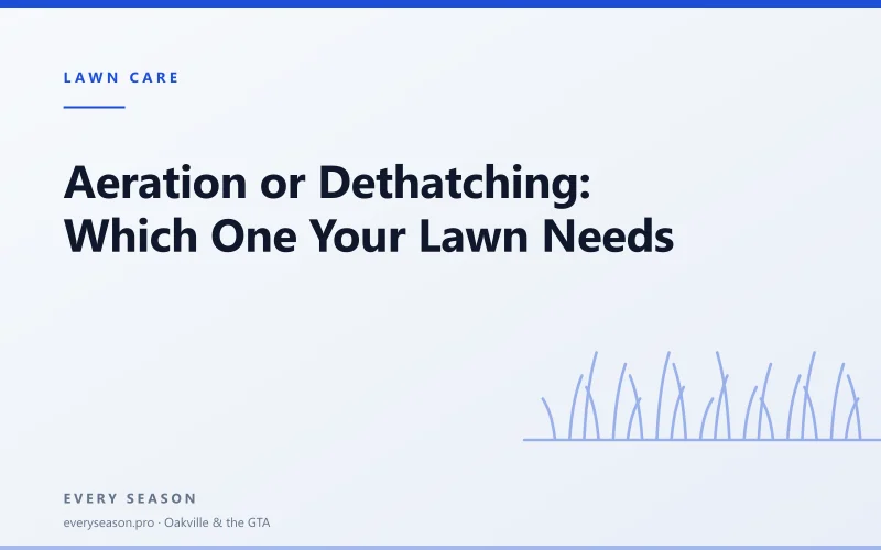 Editorial banner reading Aeration or Dethatching over a light green lawn motif