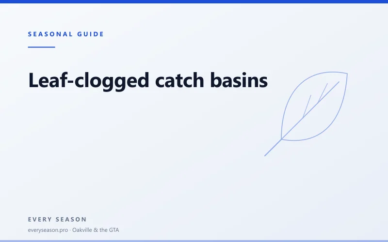 Light editorial banner with an outlined leaf motif, kicker Seasonal Guide and the heading Leaf-clogged catch basins