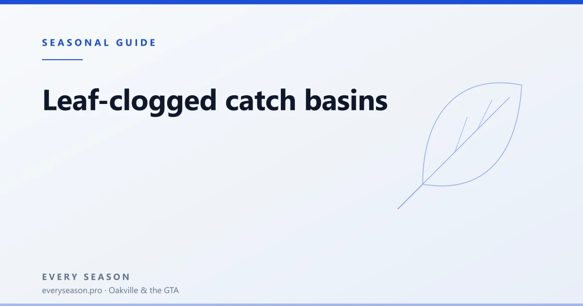 Light editorial banner with an outlined leaf motif, kicker Seasonal Guide and the heading Leaf-clogged catch basins
