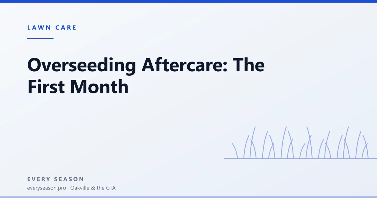 Light editorial banner reading Overseeding Aftercare over a lawn motif, for a guide to the first month after seeding a lawn in Oakville, Mississauga and Burlington