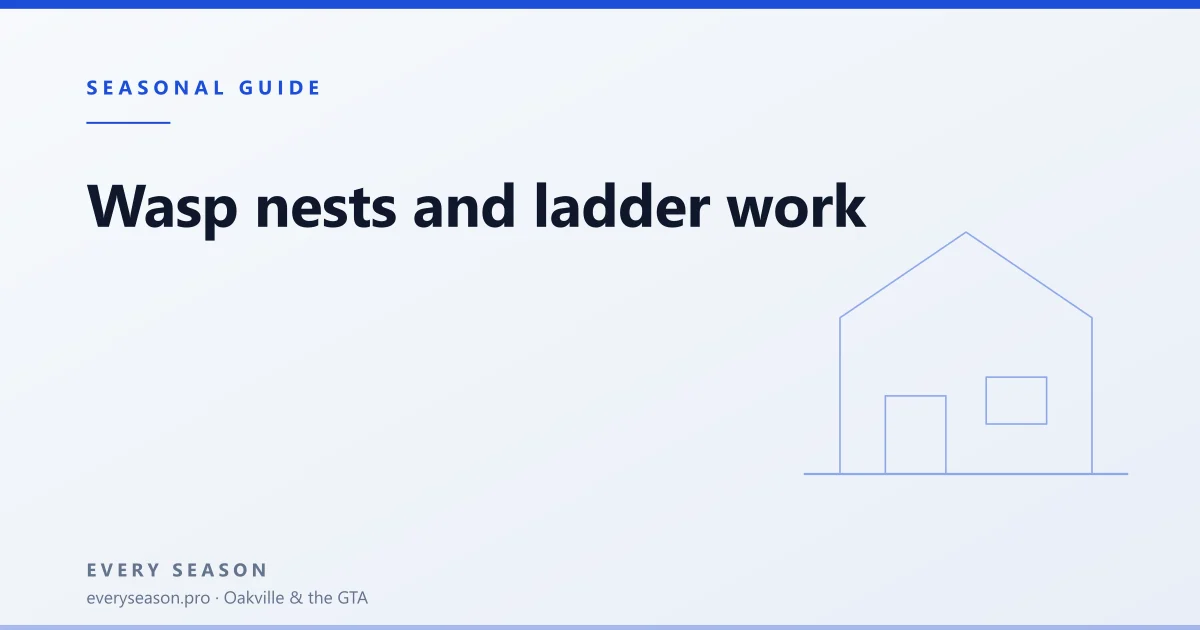 Editorial banner headed SEASONAL GUIDE, reading 'Wasp nests and ladder work', with a line-drawn house on a pale blue background