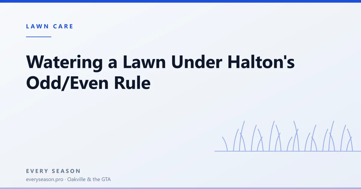 Editorial banner reading 'Watering a Lawn Under Halton's Odd/Even Rule' with a line-drawn lawn motif