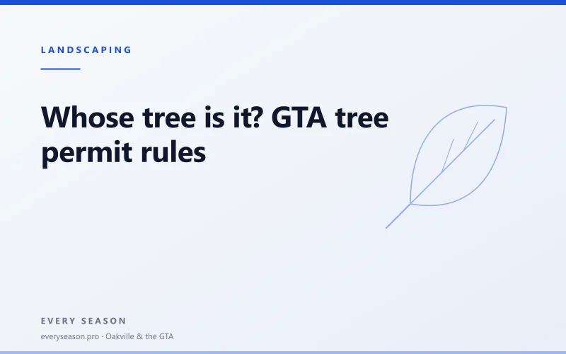 Light editorial banner with a leaf motif reading Whose tree is it, GTA permit rules