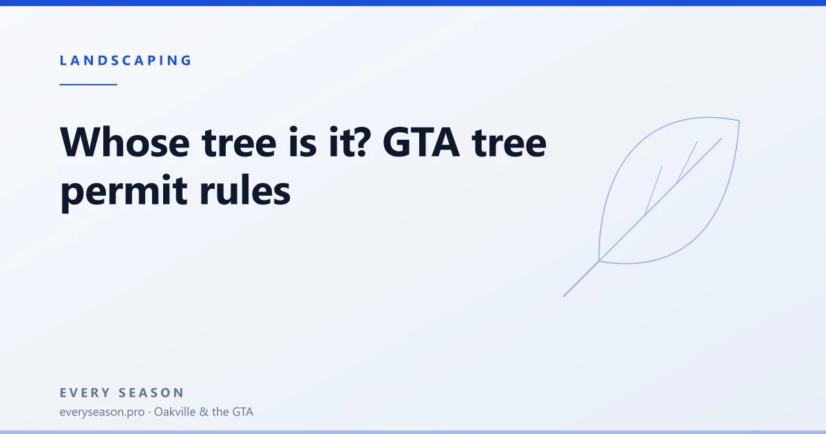 Light editorial banner with a leaf motif reading Whose tree is it, GTA permit rules